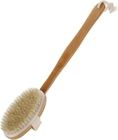 Body Brush with Detachable Long Handle