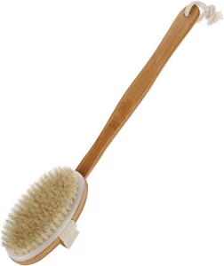 Body Brush with Detachable Long Handle